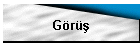 Görüş